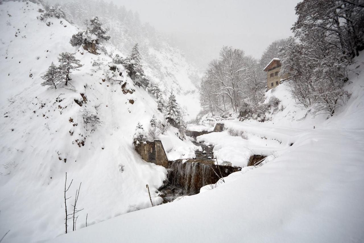 Casa Cadore Lozzo Cadore ภายนอก รูปภาพ