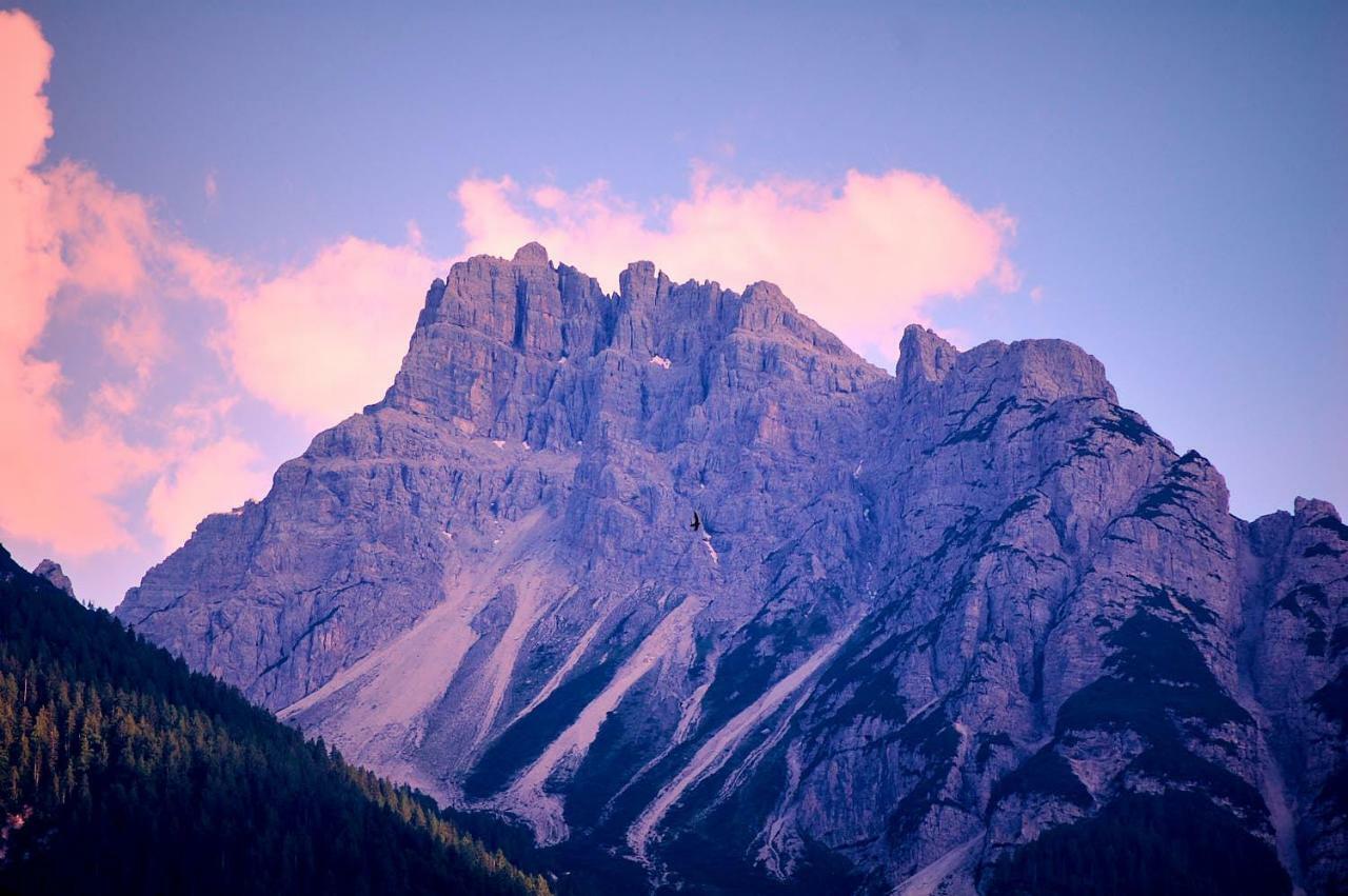 Casa Cadore Lozzo Cadore ภายนอก รูปภาพ